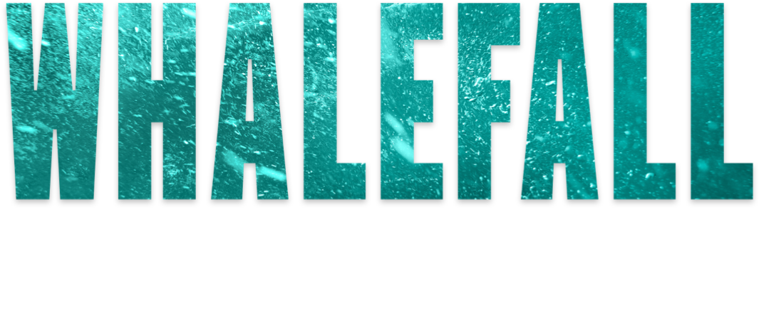 Title or logo for Whalefall INTL