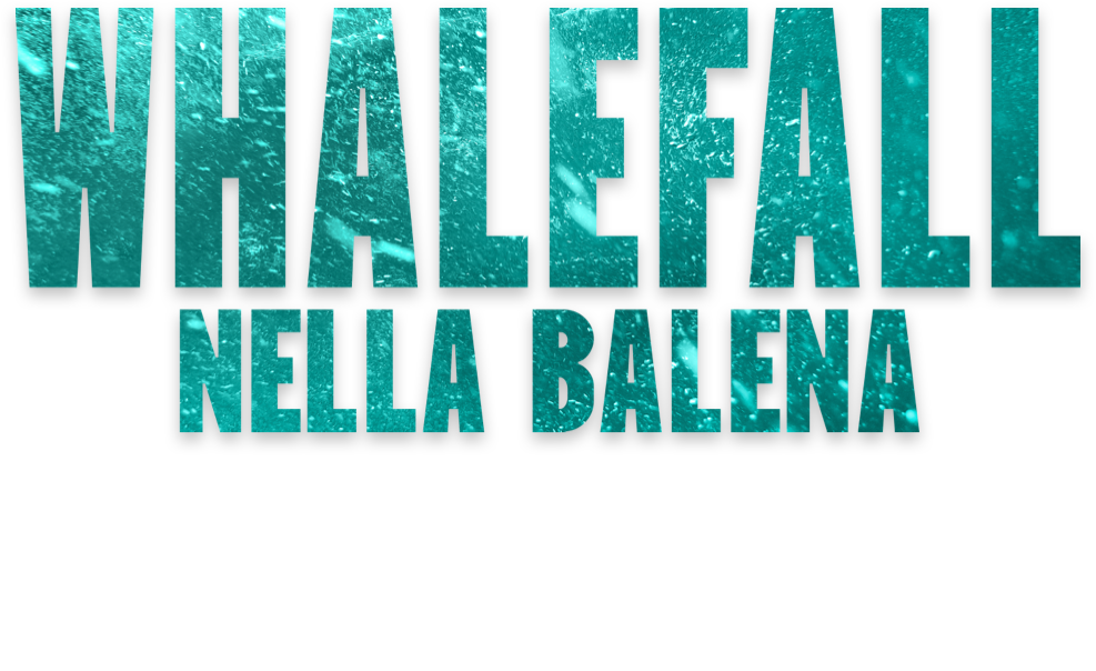 Titolo o logo per 