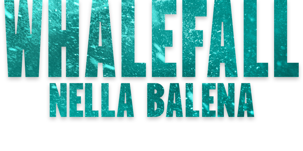 Titolo o logo per 