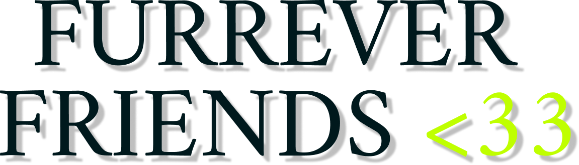 Title or logo for Furrever Friends