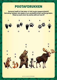 Image of the BigFoot Family gallery