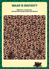 Image of the BigFoot Family gallery