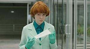 Image of the Little Joe gallery