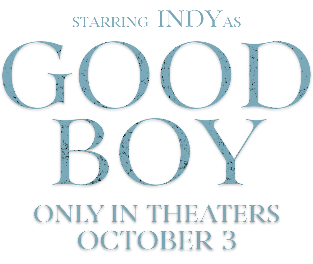 Title or logo for Good Boy