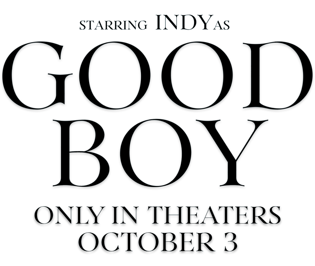 Title or logo for Good Boy