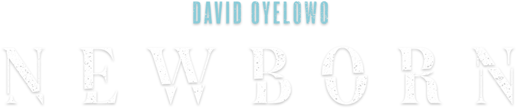 Title or logo for NEWBORN