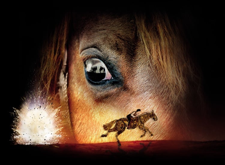 War Horse show image. A photograph of Joey's (the horse) eye.
