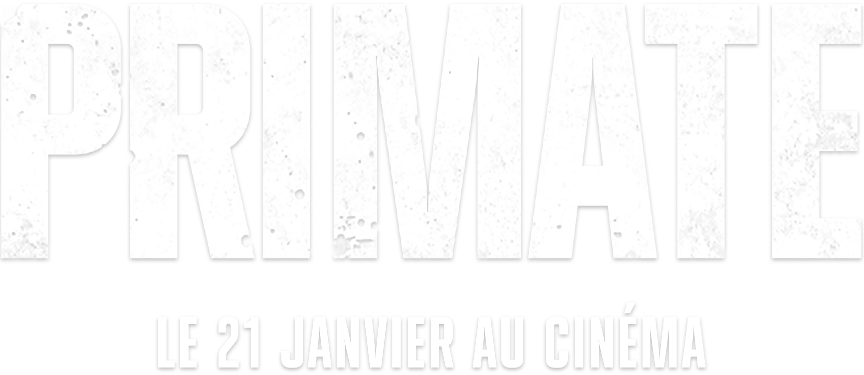 Title or logo for Primate