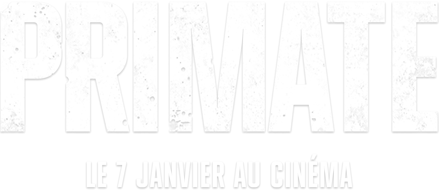 Title or logo for Primate