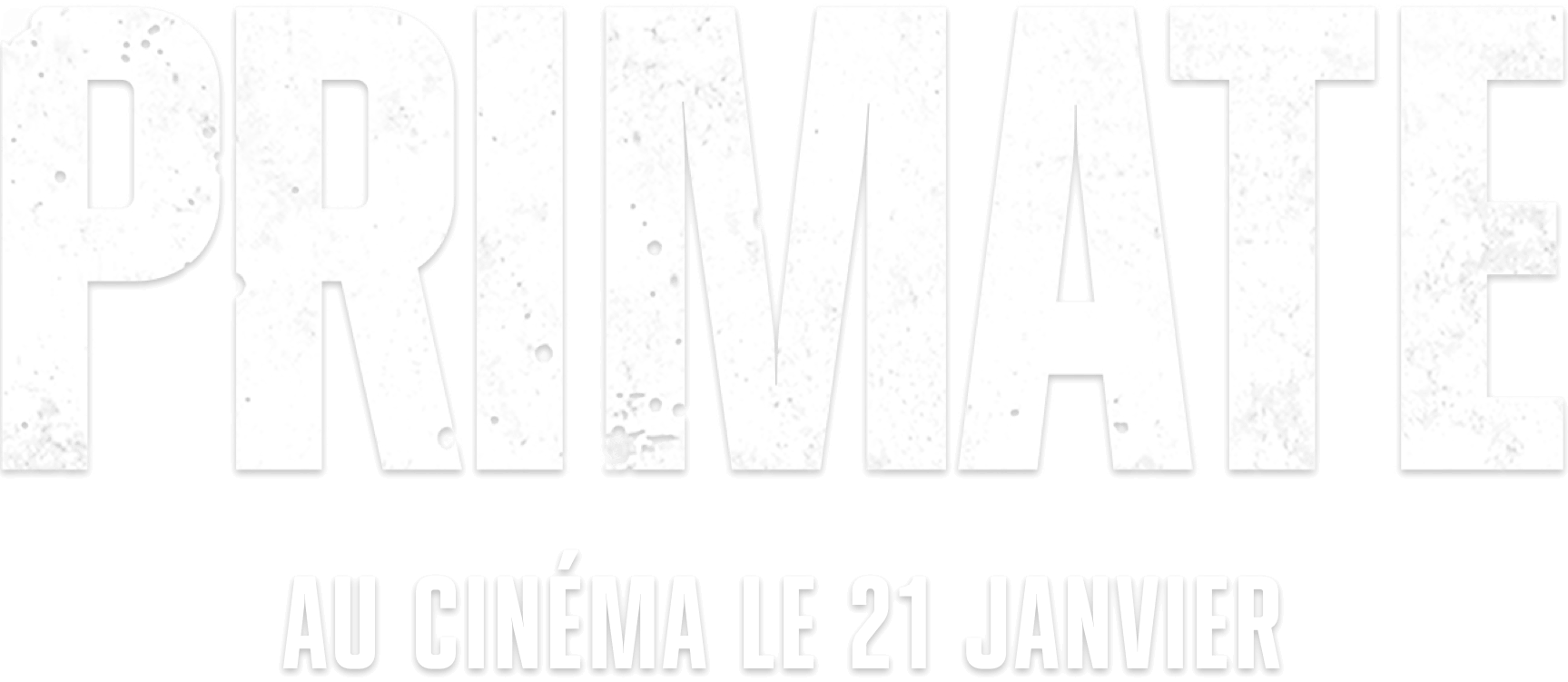 Title or logo for Primate