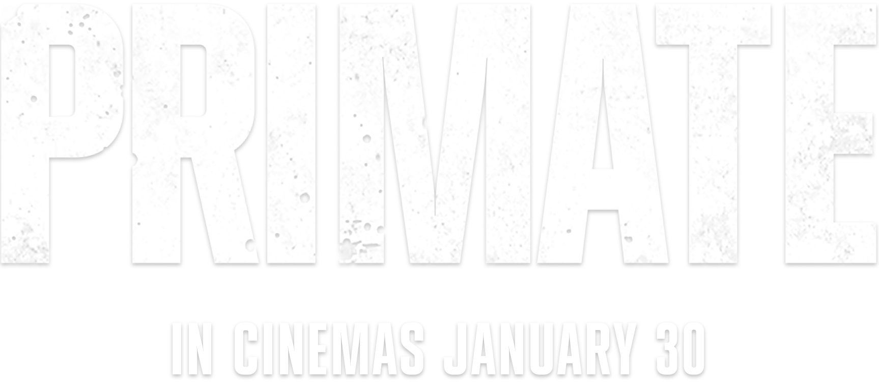 Title or logo for Primate