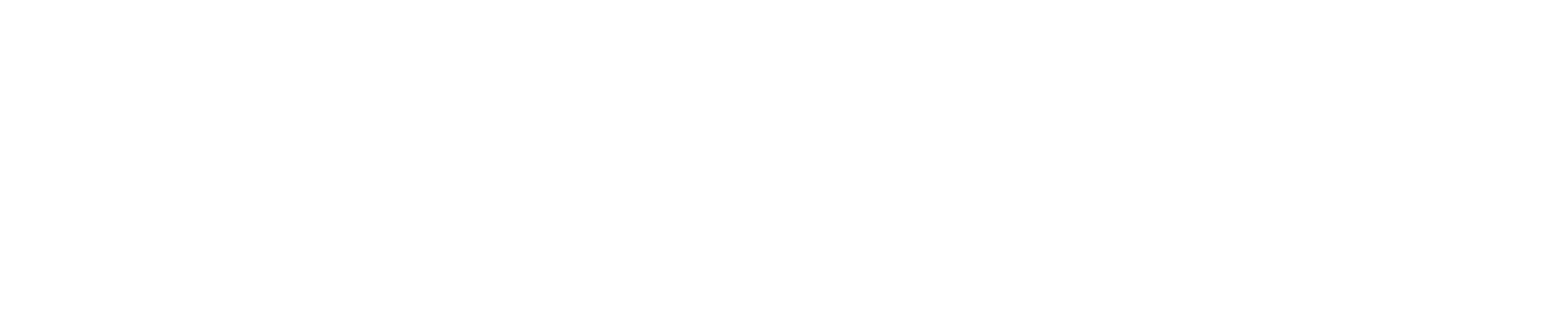 Title or logo for The Rescue