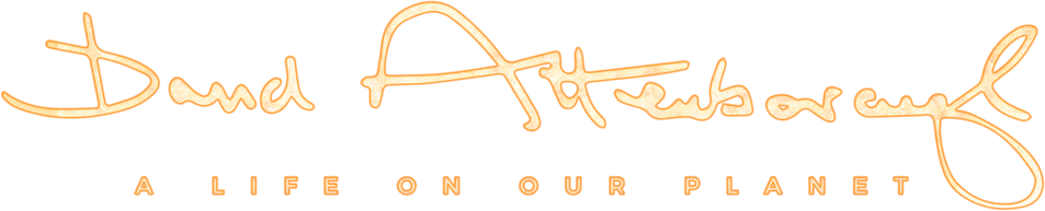 David Attenborough: A Life on our Planet : Resume | Piece of Magic