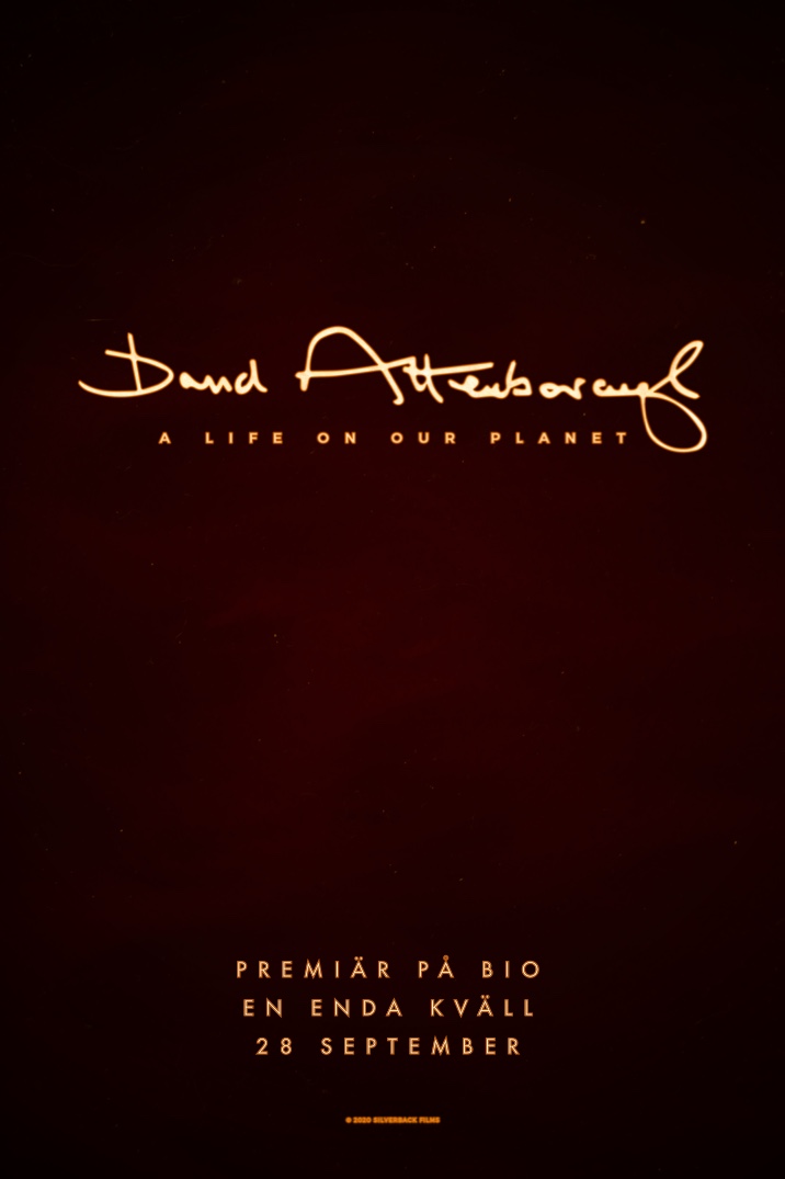 Poster image for David Attenborough: A Life on our Planet