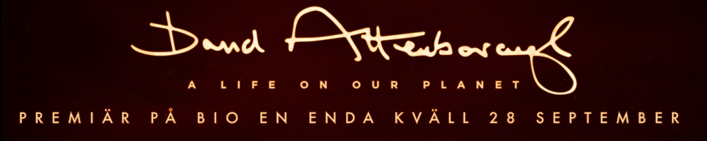 Poster image for David Attenborough: A Life on our Planet