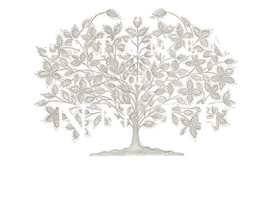 Title or logo for The Testament of Ann Lee