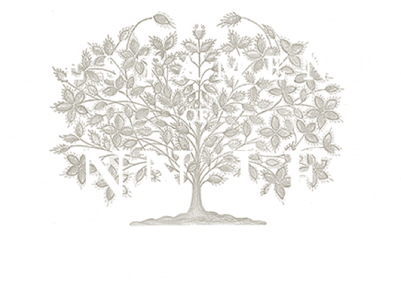 Title or logo for The Testament of Ann Lee