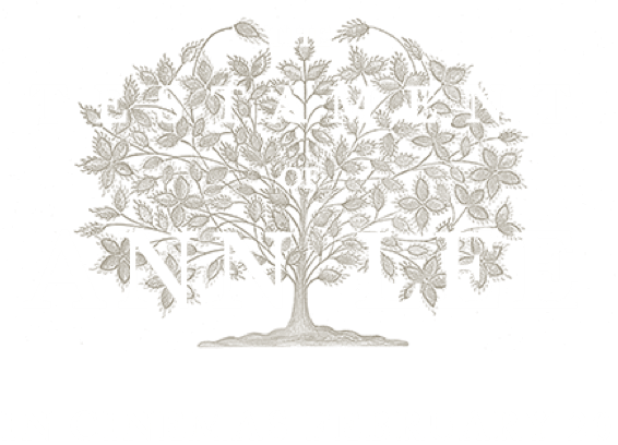 Title or logo for The Testament of Ann Lee