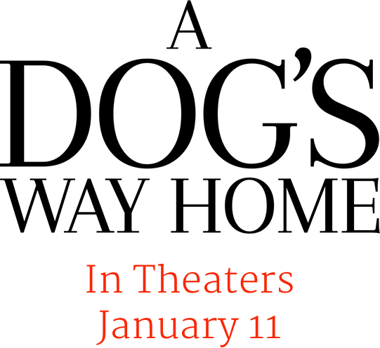 A Dog's Way Home : Synopsis | Sony Pictures