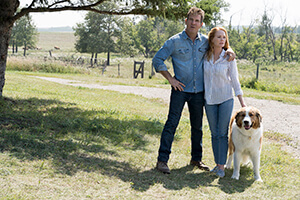 Image of the A Dog's Journey gallery