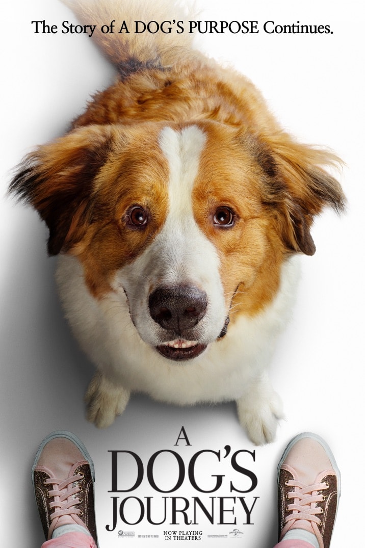 Poster for A Dog's Journey