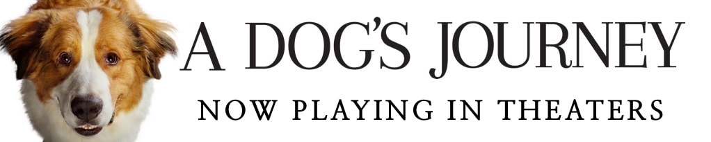 Poster for A Dog's Journey