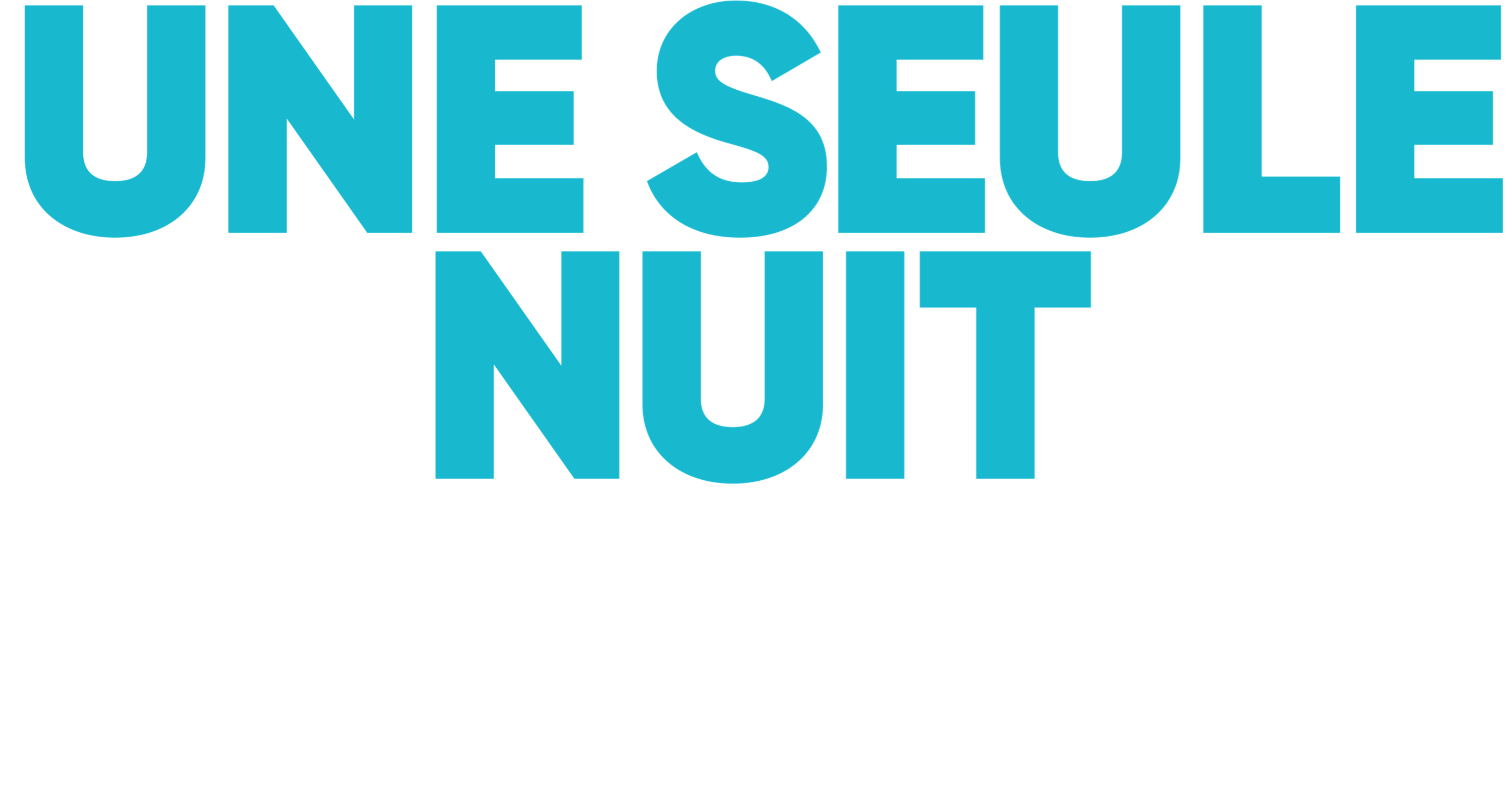 Titre ou logo pour Une Seule Nuit